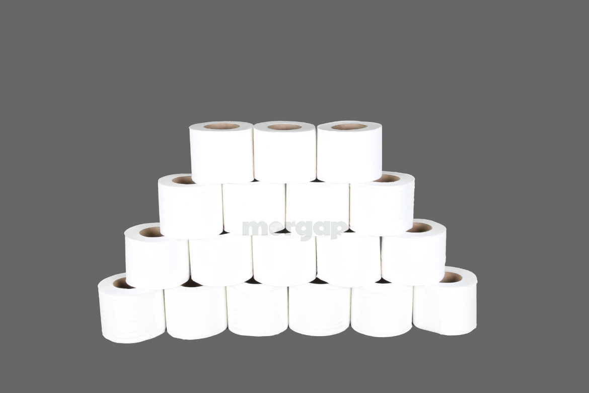 Picture of Tissues bath roll 12 cubes