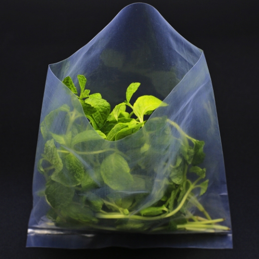 Picture of Transparent bag