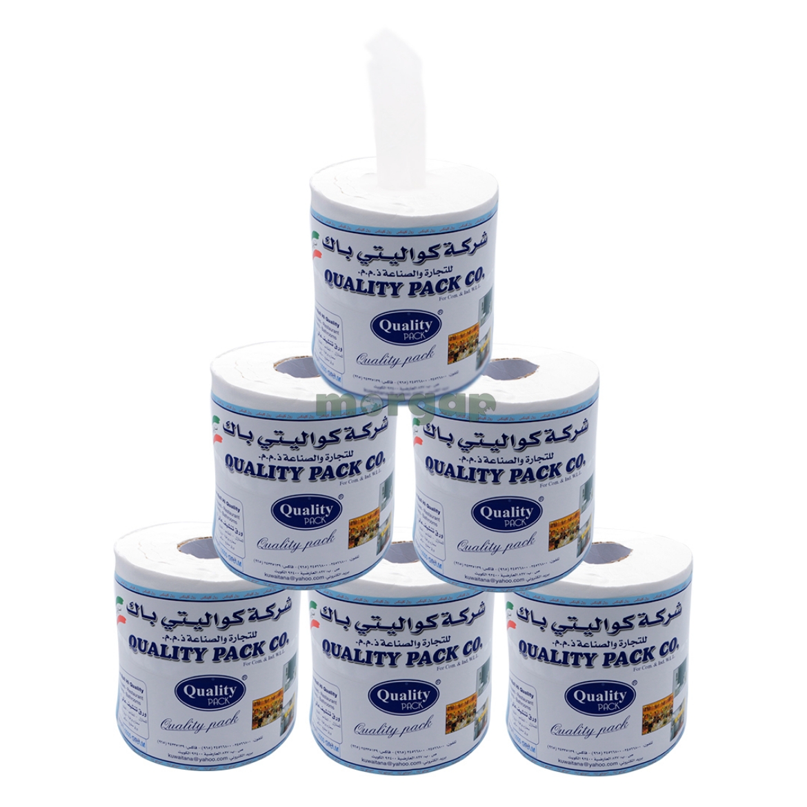 Picture of Quality Tissue Roll Big 